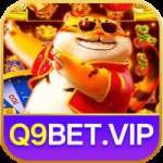 q9bet - VIP Prime
